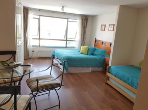 Pedro de Valdivia Apartment Providencia